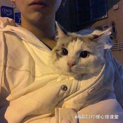 leyu乐鱼体育网址入口
