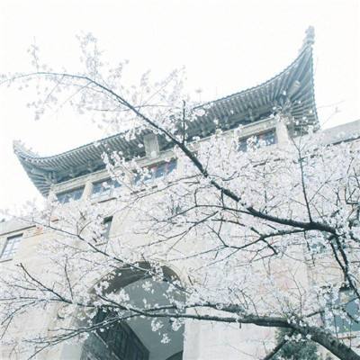 产妇羊水栓塞成植物人 医院被判赔